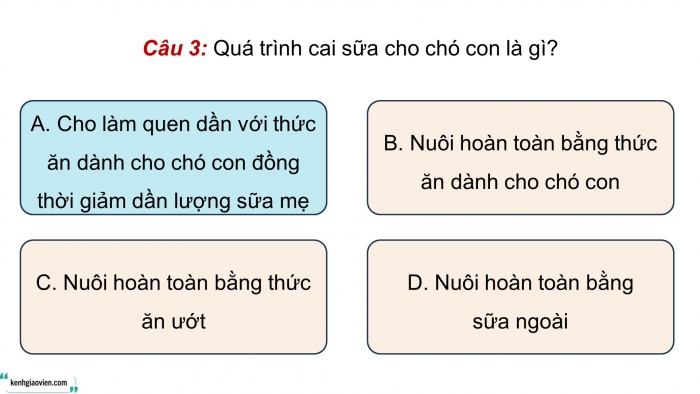 Giáo án điện tử chuyên đề Công nghệ chăn nuôi 11 cánh diều Ôn tập CĐ 2