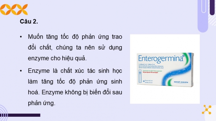 Giáo án điện tử chuyên đề Sinh học 10 chân trời Ôn tập CĐ 2