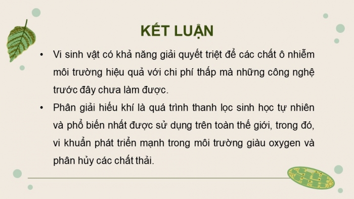 Giáo án điện tử chuyên đề Sinh học 10 chân trời Bài 11: Vi sinh vật trong phân huỷ các hợp chất