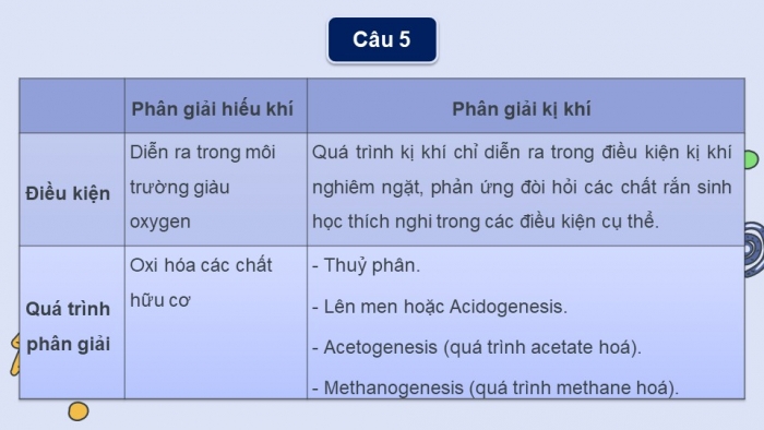 Giáo án điện tử chuyên đề Sinh học 10 chân trời Ôn tập CĐ 3