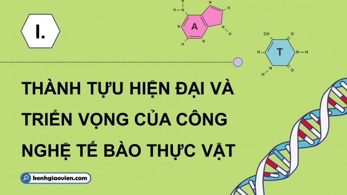 Giáo án điện tử chuyên đề Sinh học 10 cánh diều Bài 1: Thành tựu hiện đại của công nghệ tế bào