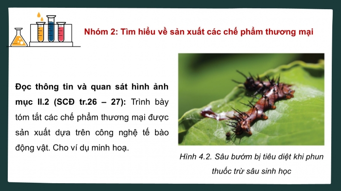 Giáo án điện tử chuyên đề Sinh học 10 cánh diều Bài 4: Cơ sở công nghệ tế bào động vật và ứng dụng