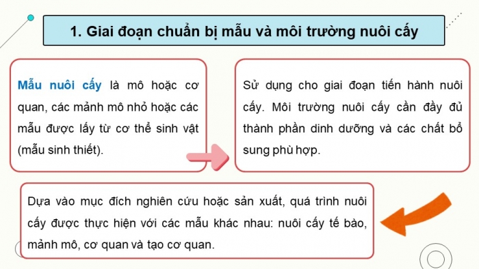 Giáo án điện tử chuyên đề Sinh học 10 cánh diều Bài 5: Các giai đoạn của công nghệ tế bào động vật