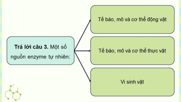 Giáo án điện tử chuyên đề Sinh học 10 cánh diều Bài 8: Sản xuất enzyme tự nhiên