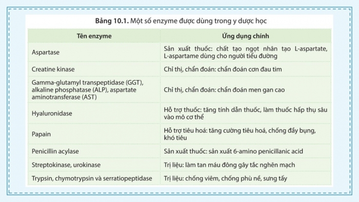 Giáo án điện tử chuyên đề Sinh học 10 cánh diều Bài 10: Ứng dụng và triển vọng của công nghệ enzyme