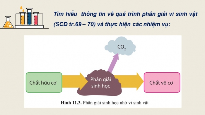 Giáo án điện tử chuyên đề Sinh học 10 cánh diều Bài 11: Khái quát về vi sinh vật trong xử lí ô nhiễm môi trường