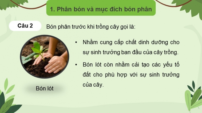 Giáo án điện tử chuyên đề Sinh học 11 chân trời Bài 2: Biện pháp kĩ thuật sử dụng dinh dưỡng khoáng để tăng năng suất cây trồng và tạo nền nông nghiệp sạch