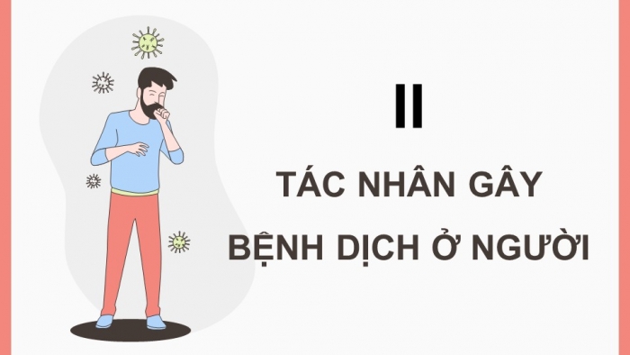 Giáo án điện tử chuyên đề Sinh học 11 chân trời Bài 6: Một số bệnh dịch phổ biến ở người