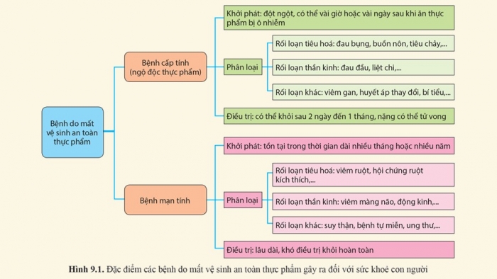 Giáo án điện tử chuyên đề Sinh học 11 cánh diều Bài 9: Tác hại của mất vệ sinh an toàn thực phẩm. Cách phòng và điều trị ngộ độc thực phẩm