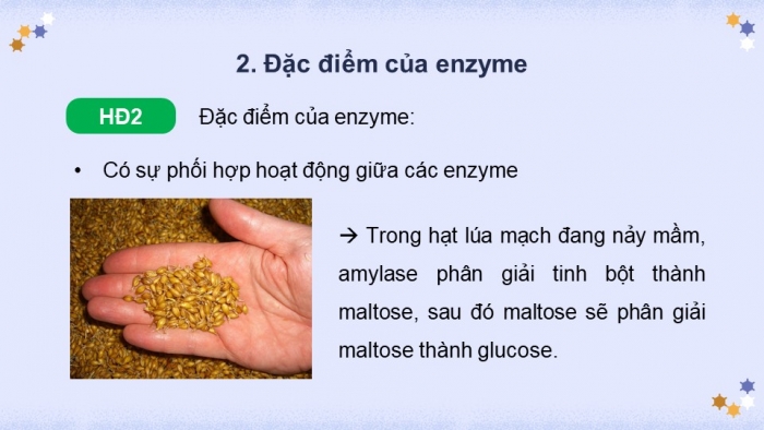 Giáo án điện tử chuyên đề Sinh học 10 chân trời Bài 7: Quy trình công nghệ sản xuất enzyme