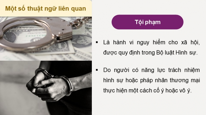 Giáo án điện tử chuyên đề Kinh tế pháp luật 10 cánh diều Bài 9: Khái niệm, các nguyên tắc của pháp luật hình sự