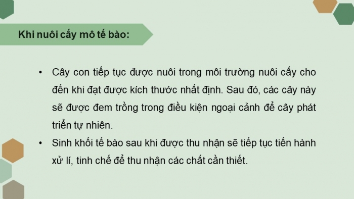 Giáo án điện tử chuyên đề Sinh học 10 chân trời Bài 2: Công nghệ tế bào thực vật và thành tựu