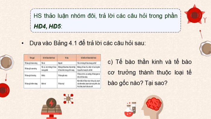 Giáo án điện tử chuyên đề Sinh học 10 chân trời Bài 4: Tế bào gốc và công nghệ tế bào gốc