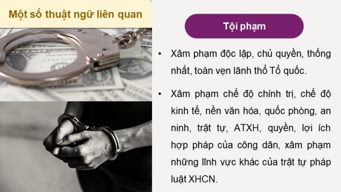 Giáo án điện tử chuyên đề Kinh tế pháp luật 10 cánh diều Bài 9: Khái niệm, các nguyên tắc của pháp luật hình sự