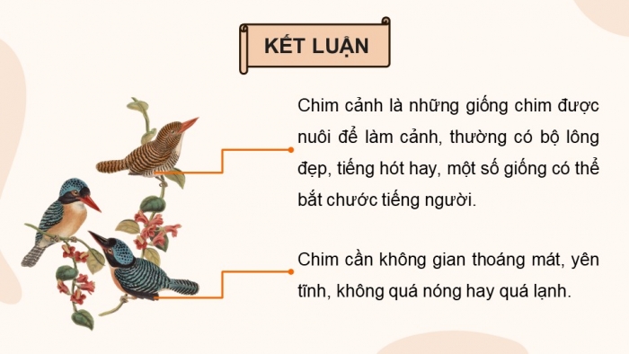 Giáo án điện tử chuyên đề Công nghệ chăn nuôi 11 kết nối Bài 9: Kĩ thuật nuôi dưỡng và chăm sóc chim cảnh