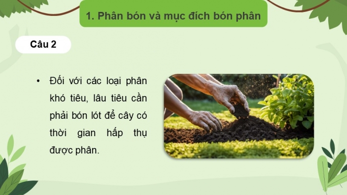 Giáo án điện tử chuyên đề Sinh học 11 chân trời Bài 2: Biện pháp kĩ thuật sử dụng dinh dưỡng khoáng để tăng năng suất cây trồng và tạo nền nông nghiệp sạch