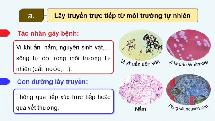 Giáo án điện tử chuyên đề Sinh học 11 cánh diều Bài 5: Nguyên nhân lây nhiễm bệnh dịch ở người