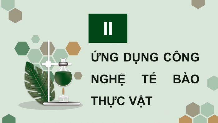 Giáo án điện tử chuyên đề Sinh học 10 chân trời Bài 2: Công nghệ tế bào thực vật và thành tựu