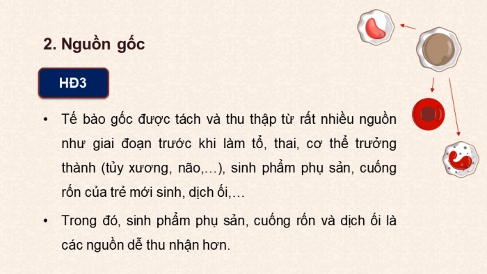 Giáo án điện tử chuyên đề Sinh học 10 chân trời Bài 4: Tế bào gốc và công nghệ tế bào gốc