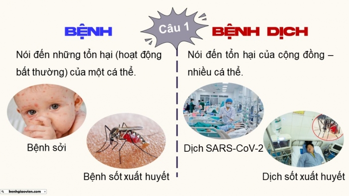 Giáo án điện tử chuyên đề Sinh học 11 cánh diều Bài 4: Bệnh dịch và tác nhân gây bệnh ở người