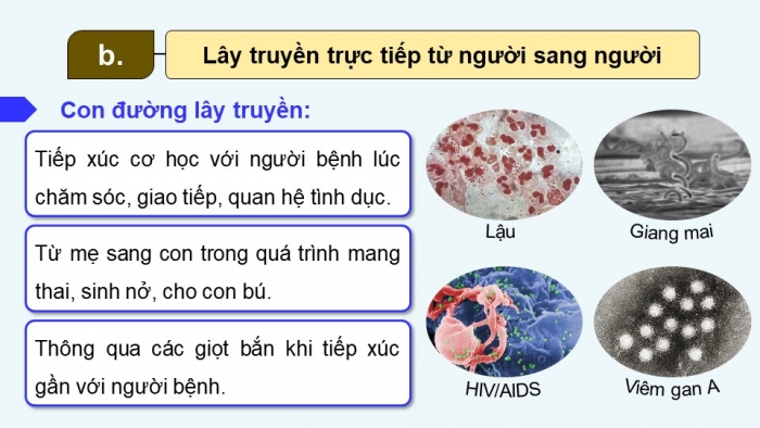 Giáo án điện tử chuyên đề Sinh học 11 cánh diều Bài 5: Nguyên nhân lây nhiễm bệnh dịch ở người