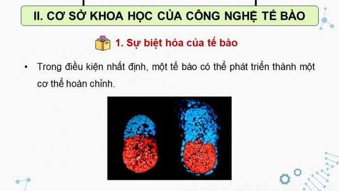 Giáo án điện tử chuyên đề Sinh học 10 chân trời Bài 1: Khái quát về công nghệ tế bào