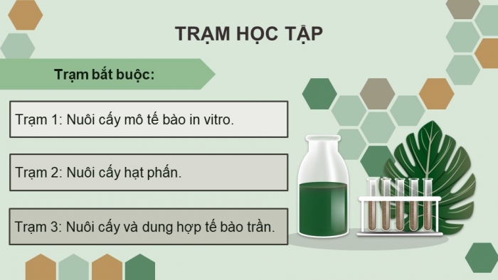 Giáo án điện tử chuyên đề Sinh học 10 chân trời Bài 2: Công nghệ tế bào thực vật và thành tựu