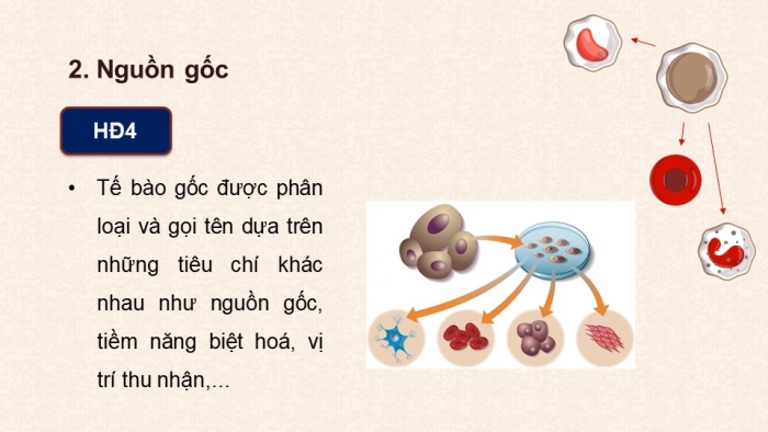 Giáo án điện tử chuyên đề Sinh học 10 chân trời Bài 4: Tế bào gốc và công nghệ tế bào gốc