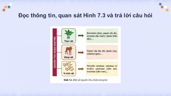 Giáo án điện tử chuyên đề Sinh học 10 chân trời Bài 7: Quy trình công nghệ sản xuất enzyme