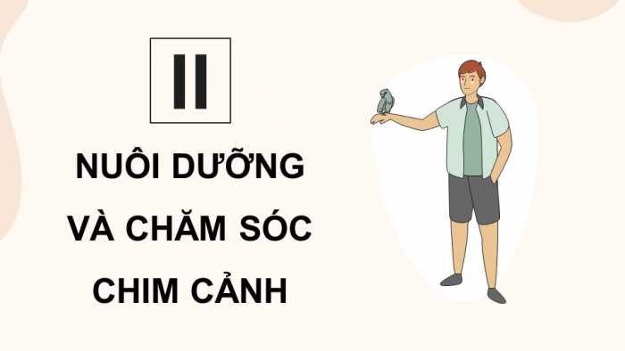 Giáo án điện tử chuyên đề Công nghệ chăn nuôi 11 kết nối Bài 9: Kĩ thuật nuôi dưỡng và chăm sóc chim cảnh