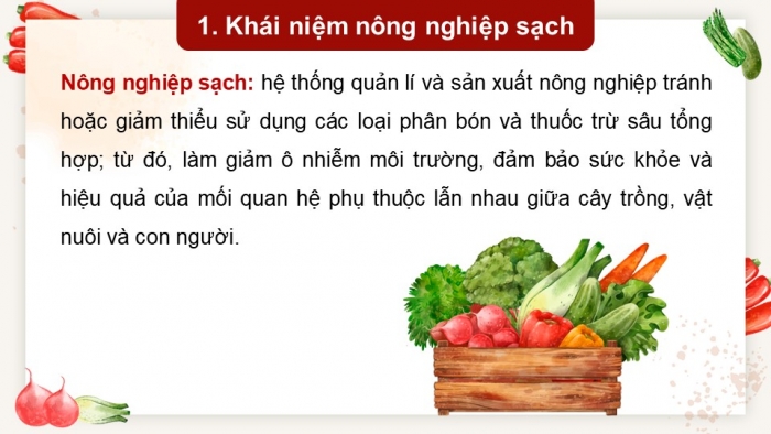 Giáo án điện tử chuyên đề Sinh học 11 chân trời Bài 1: Khái quát về nông nghiệp sạch