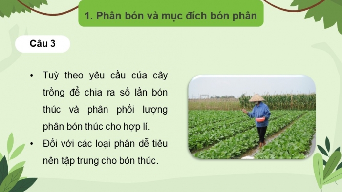 Giáo án điện tử chuyên đề Sinh học 11 chân trời Bài 2: Biện pháp kĩ thuật sử dụng dinh dưỡng khoáng để tăng năng suất cây trồng và tạo nền nông nghiệp sạch