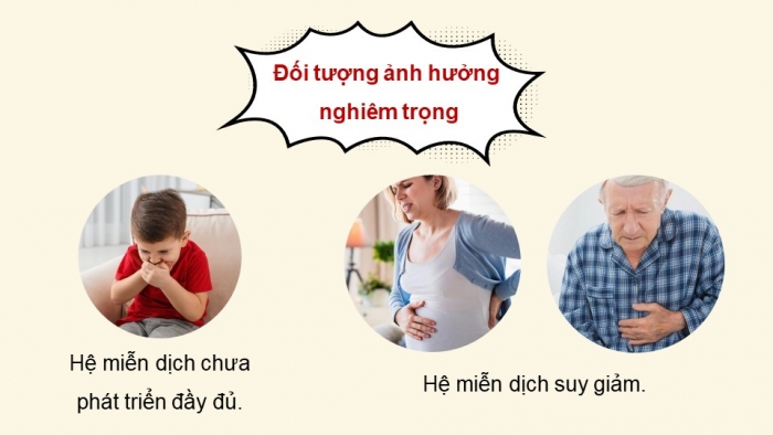 Giáo án điện tử chuyên đề Sinh học 11 cánh diều Bài 9: Tác hại của mất vệ sinh an toàn thực phẩm. Cách phòng và điều trị ngộ độc thực phẩm