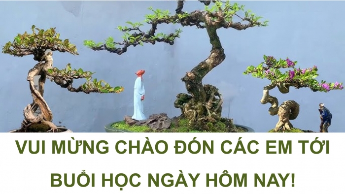 Giáo án điện tử chuyên đề Công nghệ trồng trọt 10 cánh diều Bài 8: Kĩ thuật trồng, chăm sóc và tạo hình cây sanh