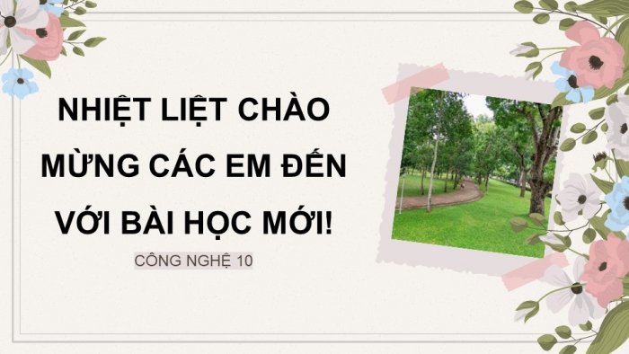 Giáo án điện tử chuyên đề Công nghệ trồng trọt 10 cánh diều Ôn tập CĐ 2