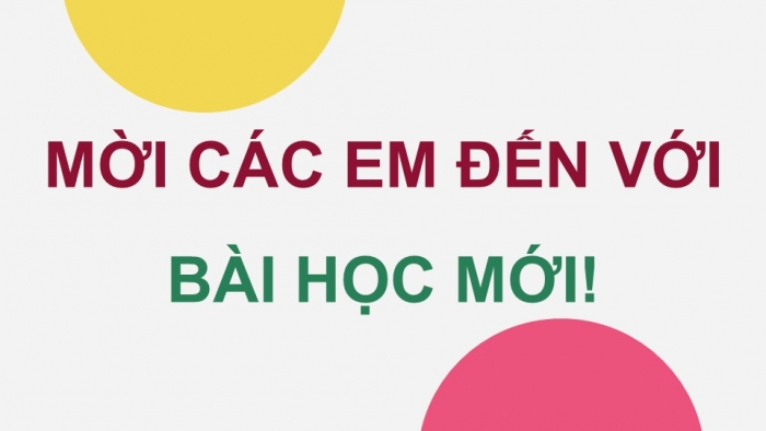 Giáo án điện tử chuyên đề Công nghệ chăn nuôi 11 kết nối Bài 7: Kĩ thuật nuôi dưỡng và chăm sóc chó cảnh