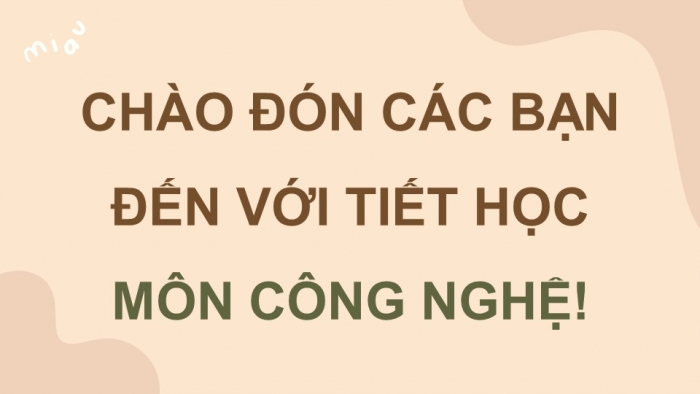 Giáo án điện tử chuyên đề Công nghệ chăn nuôi 11 kết nối Bài 8: Kĩ thuật nuôi dưỡng và chăm sóc mèo cảnh