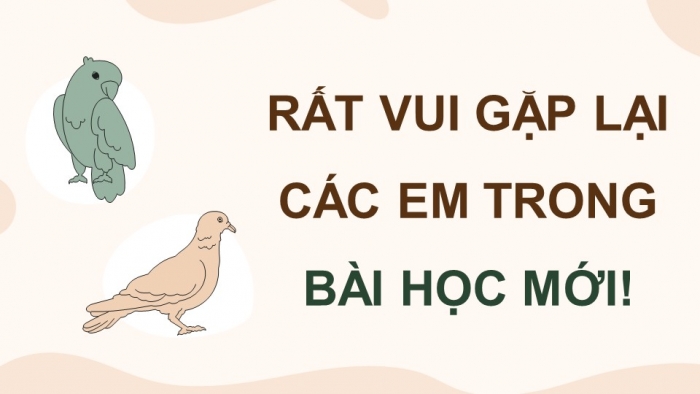 Giáo án điện tử chuyên đề Công nghệ chăn nuôi 11 kết nối Bài 9: Kĩ thuật nuôi dưỡng và chăm sóc chim cảnh