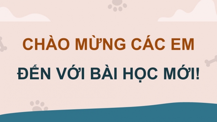 Giáo án điện tử chuyên đề Công nghệ chăn nuôi 11 kết nối Bài 10: Chế biến thức ăn cho động vật cảnh