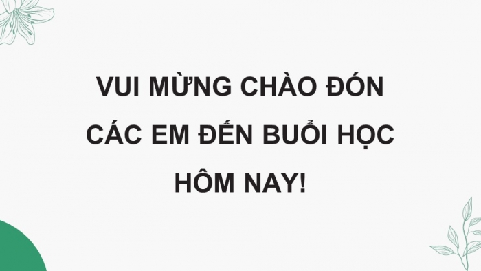 Giáo án điện tử chuyên đề Sinh học 11 chân trời Ôn tập CĐ 1