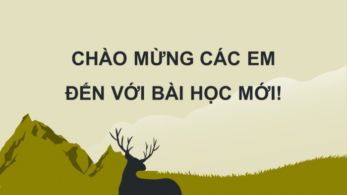 Giáo án điện tử chuyên đề Sinh học 11 chân trời Bài 12: Dự án Điều tra về hiện trạng mất vệ sinh an toàn thực phẩm tại địa phương