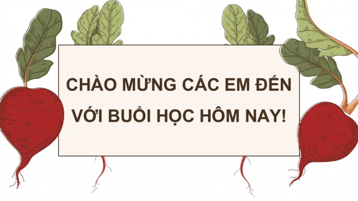 Giáo án điện tử chuyên đề Sinh học 11 cánh diều Bài 2: Nông nghiệp sạch