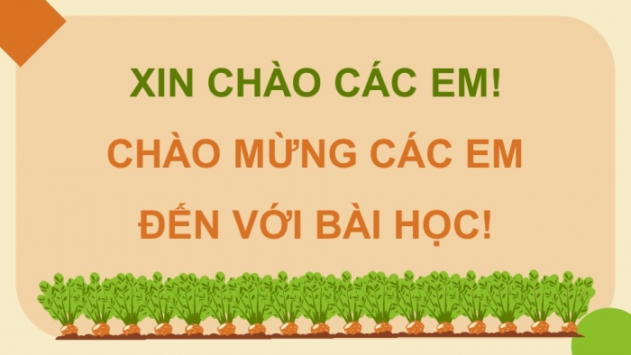 Giáo án điện tử chuyên đề Sinh học 11 cánh diều Bài 3: Dự án điều tra sử dụng phân bón ở địa phương. Thực hành trồng cây với các kĩ thuật bón phân phù hợp