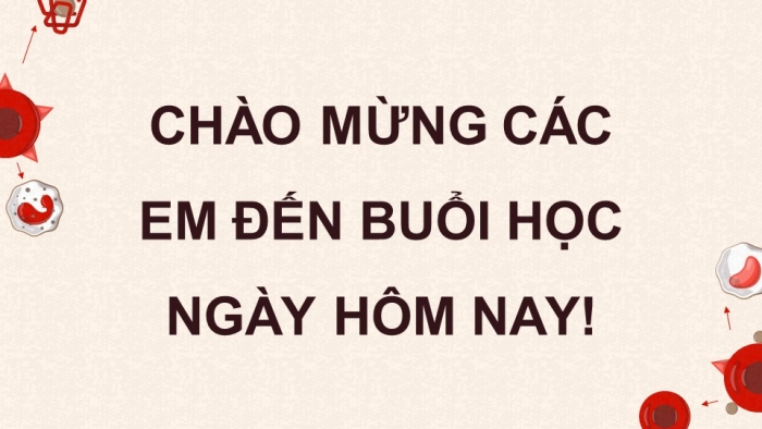 Giáo án điện tử chuyên đề Sinh học 10 chân trời Bài 4: Tế bào gốc và công nghệ tế bào gốc