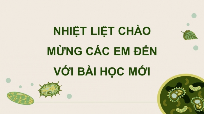 Giáo án điện tử chuyên đề Sinh học 10 chân trời Bài 11: Vi sinh vật trong phân huỷ các hợp chất