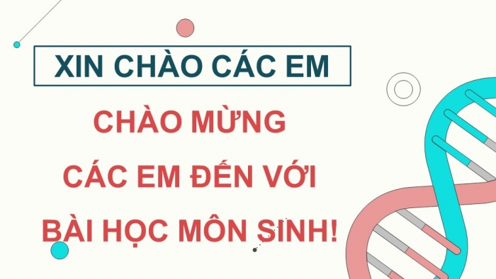 Giáo án điện tử chuyên đề Sinh học 10 cánh diều Bài 5: Các giai đoạn của công nghệ tế bào động vật