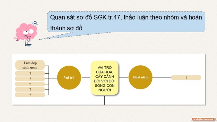 Giáo án điện tử chuyên đề Công nghệ trồng trọt 10 cánh diều Ôn tập CĐ 2