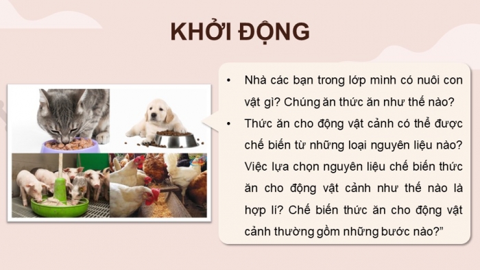 Giáo án điện tử chuyên đề Công nghệ chăn nuôi 11 kết nối Bài 10: Chế biến thức ăn cho động vật cảnh