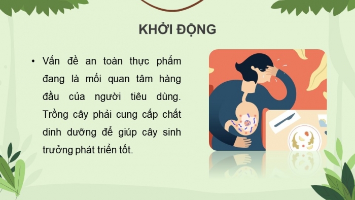 Giáo án điện tử chuyên đề Sinh học 11 chân trời Bài 2: Biện pháp kĩ thuật sử dụng dinh dưỡng khoáng để tăng năng suất cây trồng và tạo nền nông nghiệp sạch