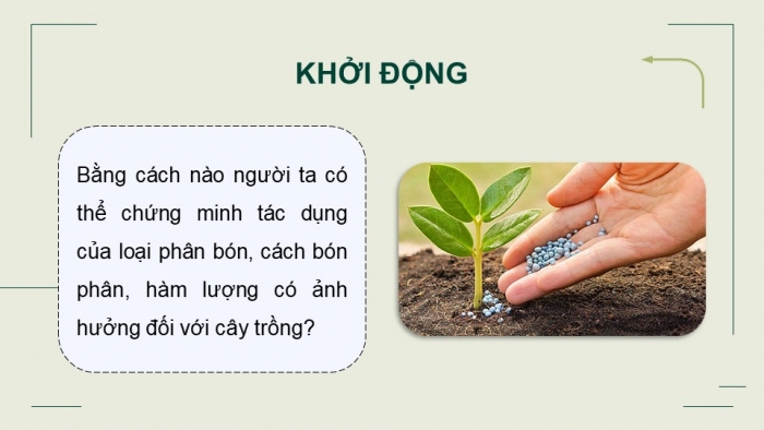 Giáo án điện tử chuyên đề Sinh học 11 chân trời Bài 4: Thực hành Chứng minh tác dụng của phân bón đối với sinh trưởng, phát triển và năng suất cây trồng